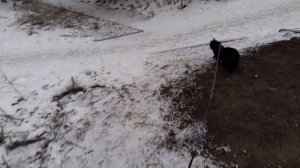 Вперед, на обход.