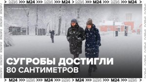 Сугробы в Москве достигли 80 сантиметров - Москва 24