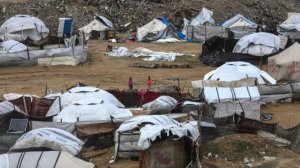 Посол Палестины раскрыл способы для использования гуманитарной помощи из РФ