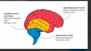 Во мне ДВА Я !!! - № 02 - 20 02 2026 - Православный ДИАЛОГ