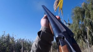 Лучшие выстрелы по птице!Сезон 2025-2026