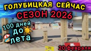 🔥ГОЛУБИЦКАЯ СЕЙЧАС🔥СЕЗОН 2026☀️100 ДНЕЙ ДО ЛЕТА😍 #голубицкая #азовскоеморе