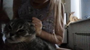 VID_20260220_163800.mp4