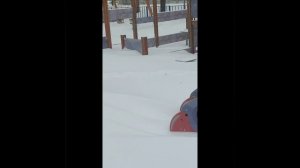 скоро весна