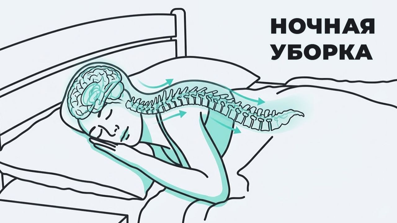 3 правила сна, которые реально чистят мозг смотреть онлайн