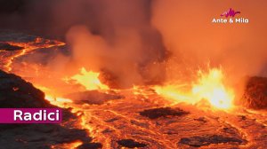 Анте & Мила - Radici