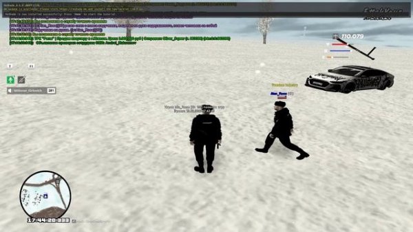 RADMIR CRMP 2026-02-19 17-26-17 - Trim