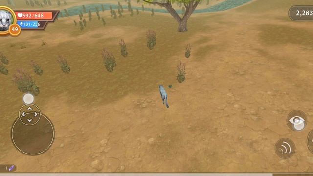 Прокачка пумы до 50 уровня в игре Wildcraft.