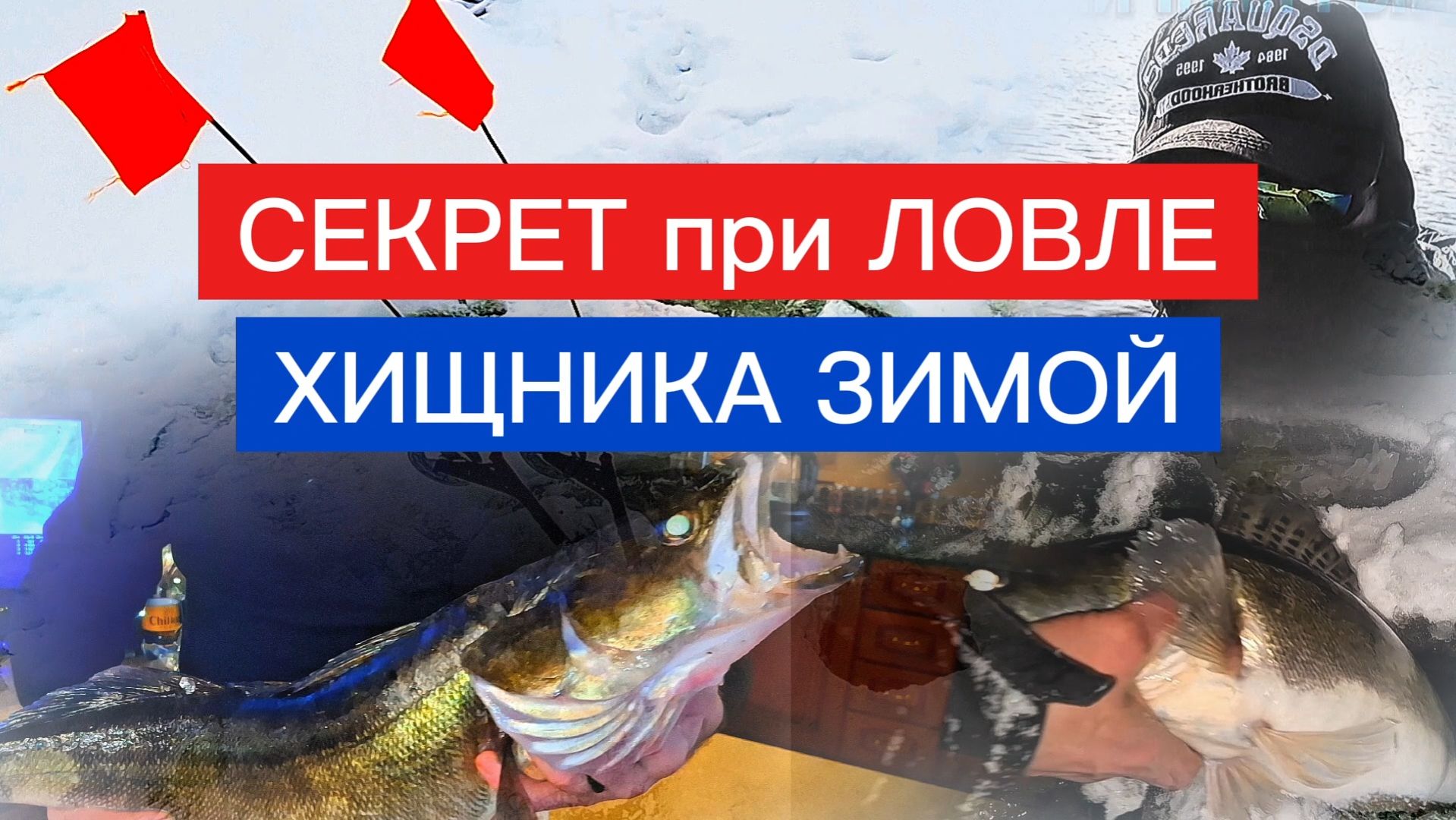 СОВЕТ при ловле ХИЩНИКА ЗИМОЙ. Рабочий совет! смотреть онлайн