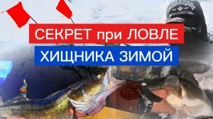 СОВЕТ при ловле ХИЩНИКА ЗИМОЙ. Рабочий совет!