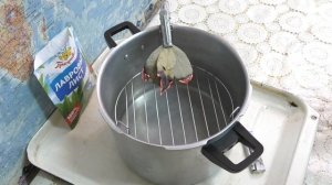 От  вирусов - дым ♨ ЛАВРОВОГО  ЛИСТА и МОЖЖЕВЕЛЬНИКА. Магия или антисептик?