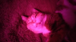 Как открыть дверь "надеюсь поможет"