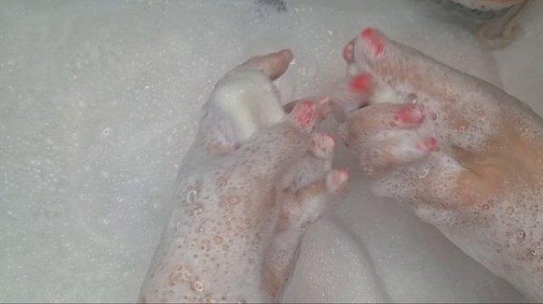 Мыление👌
Soaping👌