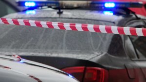 Тамбовчанка бросила в лесу пакет с телом новорожденного