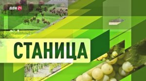 Станица-на-Дону 21.02.2026