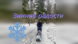 Зимние радости