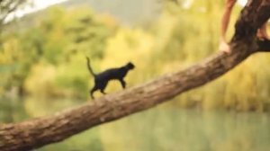 Митя Фомин - Садовник