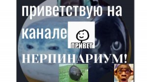 НЕ ЖДАЛИ? А ОН ВЫШЕЛ! ВОПРОС ОТВЕТ. ВТОРАЯ ЧАСТЬ.