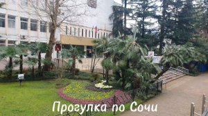 Прогулка по Сочи.