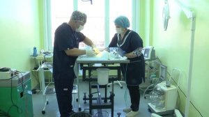 Апельсин. День стерилизации. 24-02-2026