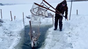 Рыбалка на фитили в сильную метель. Дедовская пешня лучше лома.
