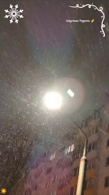 #метель #мояпрогулка #обзор #снежно #гололёд #зима #сказочнаярадость #событиедня #19февраля2026год # смотреть онлайн