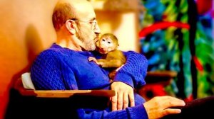 Маня поняла как ЭТО ВЕСЕЛО рвать обои и пошла веселиться,я ругаюсь, а Влад защищает)