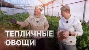 Какие культуры растут в теплицах круглый год? ЗЕМЛЕХОД