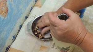 Боярышник  для  сердца и как универсальный афродизиак (aphrodisiac).