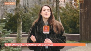 А за окном. 20 февраля 2026