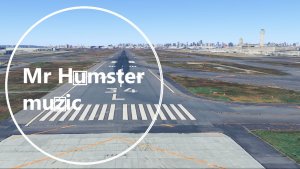 Mr Humster muzic / bit 21