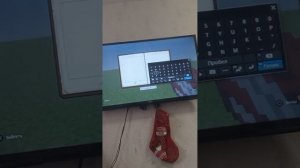 играем и общаемся с другом Макаром