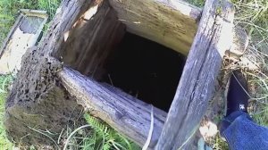 Колодец,железо,и грибы.