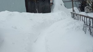 Нас опять замело. Вчера проверила доставку. Реально- деньги сразу.