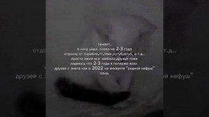 думаю с тт не буду. уходить.. у меня там огонёк с лп, спасибки я очень рада что ухожуу🙏🌹