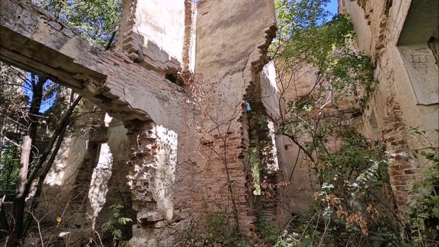 Родовое Древо семьи Кокораки смотреть онлайн