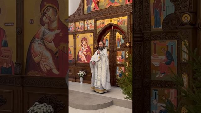Проповедь отца Павла на Поздней Литургии в неделю 31-ю по Пятидесятнице 11.01.2026г. смотреть онлайн