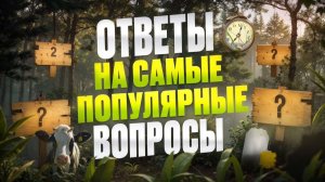 Всё, что вы боялись спросить о чае.