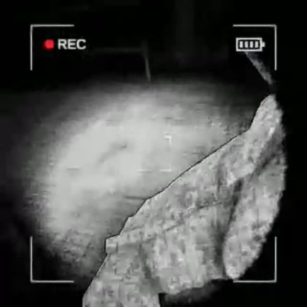 content_warning_found _futage_arg_spuky_skare_sceletons_wtf_is_goin_on_bro_idk