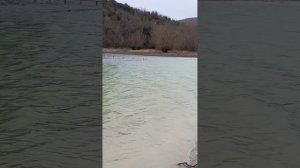 Первоцветы и бакланы на Кипарисовом озере Сукко 19 Февраля 2026. Репортаж Светланы Тихоновы.