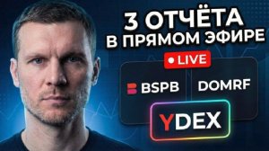 Отчеты Яндекса, БСП и ДОМРФ