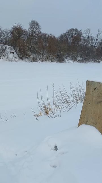 Вид с набережной на заснеженный Днепр 19.02.2026.