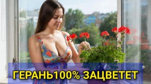 Попробуй так посадить ГЕРАНЬ и она зацветет в год посадки 🌸🌱