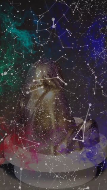 petal_20260220_154809.mp4