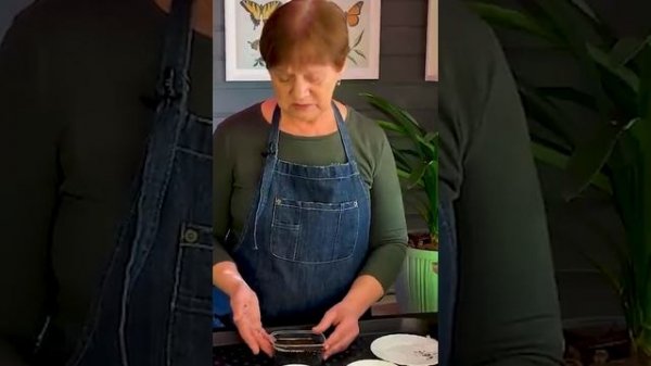 Как посеять сельдерей на снег.