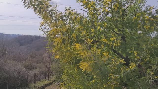 Сочи Легенды и История Башни Ахун смотреть онлайн