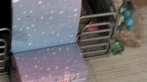 носорог вырос!