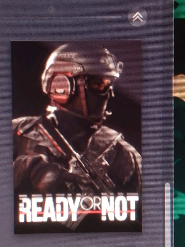 играю в READY OR NOT