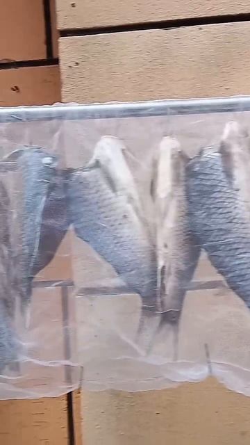 китай смотреть онлайн