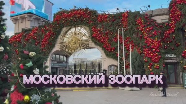Московский зоопарк: зимний режим. 5-часовая экскурсия по зоопарку. Полный обзор
